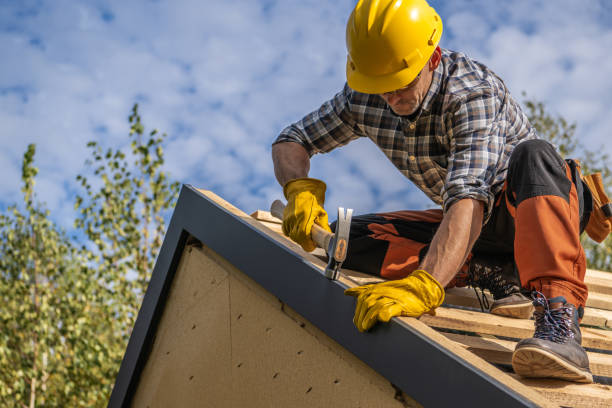 Best Roof Moss and Algae Removal  in Decorah, IA